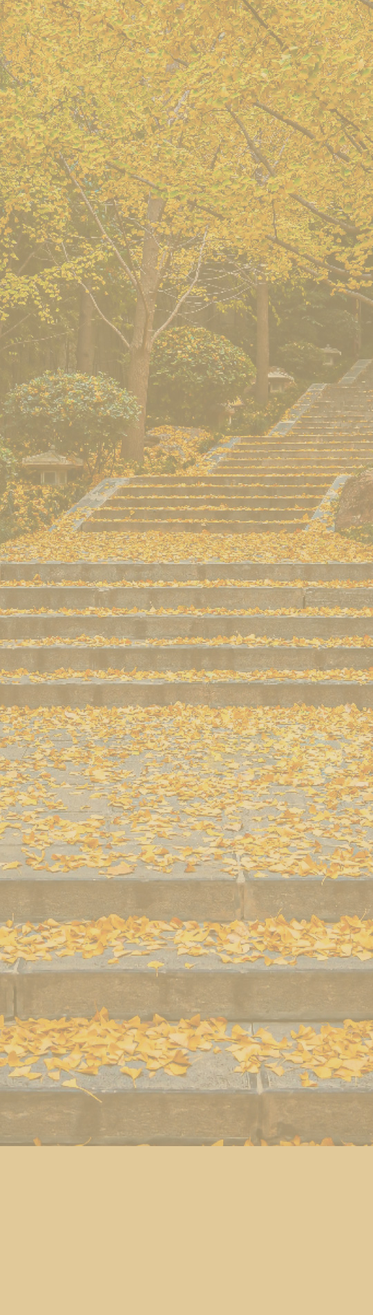 The site of the Xi'an Incident